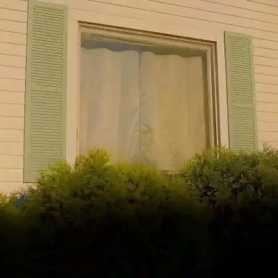 头像微信绿色系养眼