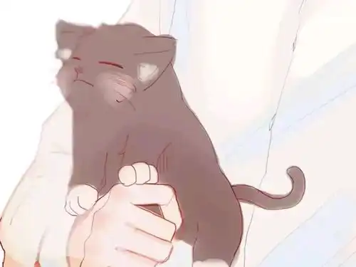 猫系头像动漫可爱壁纸
