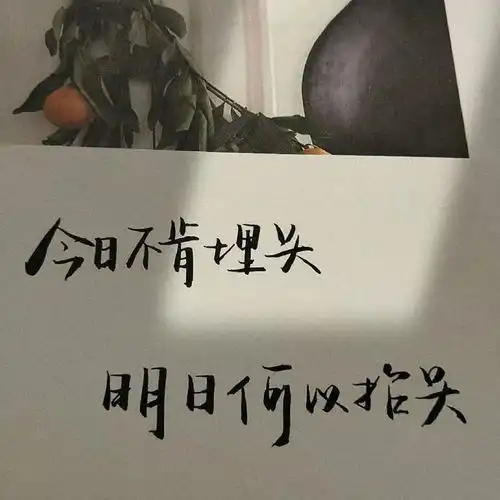  文案背景丨凭本事单身种子选手