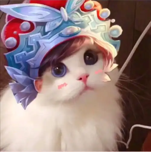 哔哩哔哩专栏