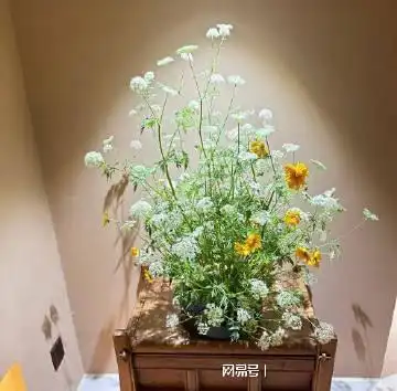  非常干净优质的心情说说,简短精致,句句入心