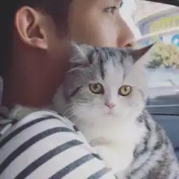 猫系女友头像头像图片金