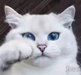  治愈系可爱喵星人大合集撸猫的感觉让人无法自拔