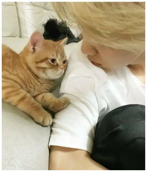 鹿晗养猫,黄子韬养狗,而她养猪