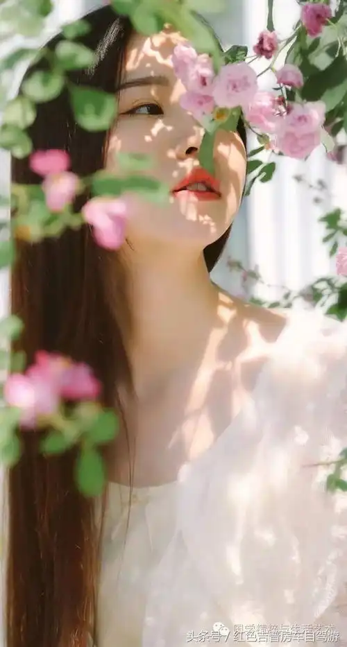  三月花季,如何拍出美美的照片