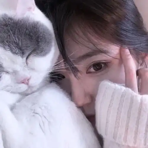 猫系女友的头像可爱猫咪