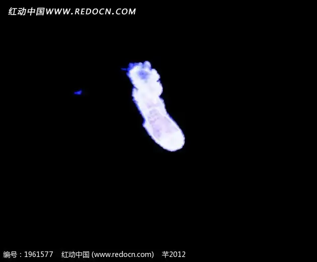 舞动的蓝色火焰mov素材免费下载红动网 舞动的蓝色火焰mov素材免费下载红动网