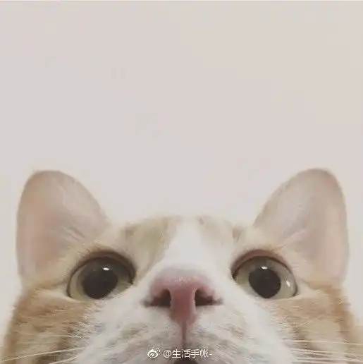  当孤单变成习惯以后,再也不奢求有人陪伴