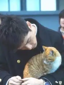  管你明星还普通人,猫毒一沾上真戒不了