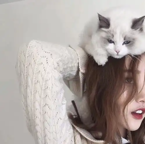 猫系女友头像头像图片养