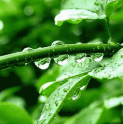  微信红包扫雷控制尾数有没有软件