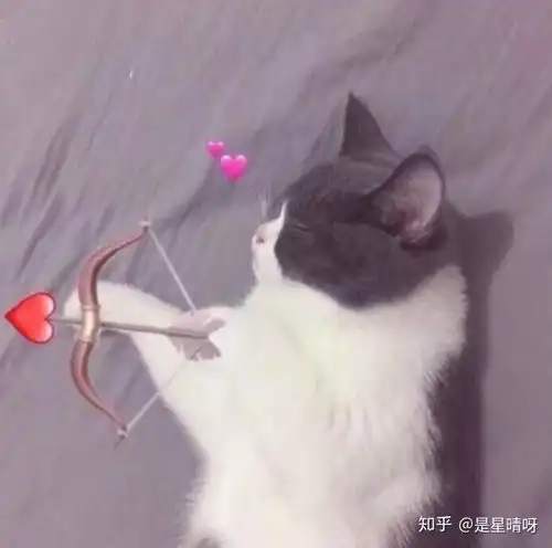  如何选择靠谱的整形医院与医生