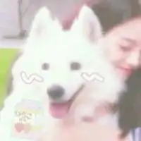  男友不是人系列头像微信头像图片大全