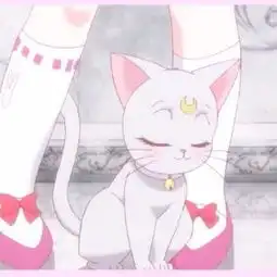  动漫壁纸美少女战士壁纸小仙女的美拍