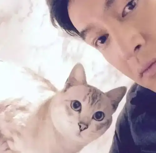  金星你喜欢玩猫胡歌我没有玩它,我是尊重