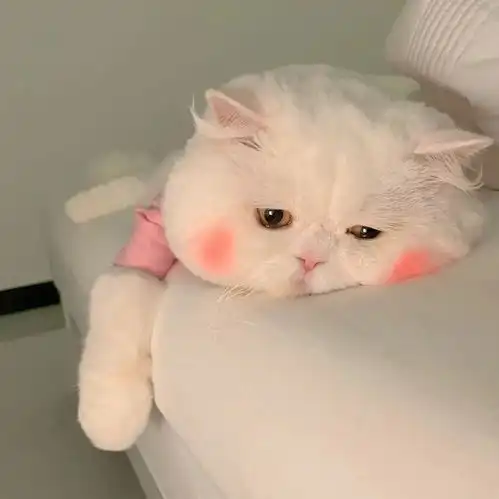  大家冬天都有什么小裙子和裤子