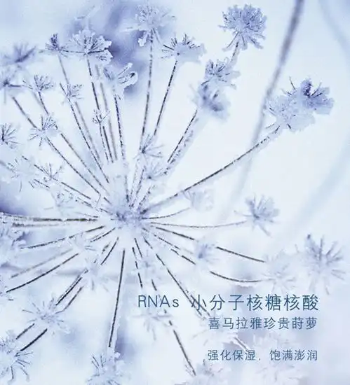  炎炎夏日,如何get清爽治愈系护肤体验