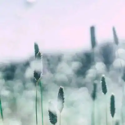高清有意境的微信头像