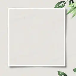  简约清新植物主图背景图片素材免费下载psd格式800800像素熊猫办公