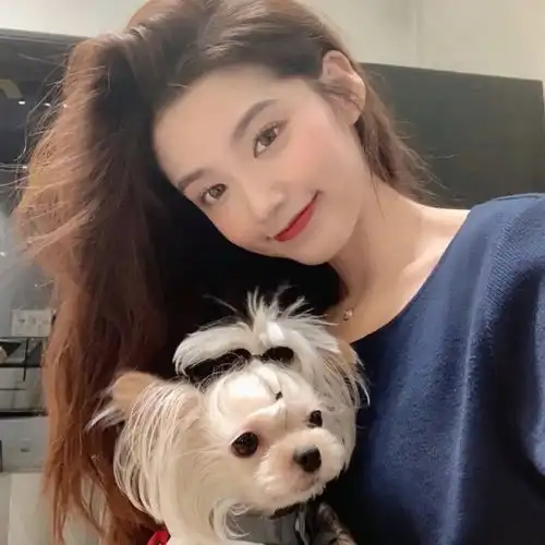  头像ins风超甜情侣头像