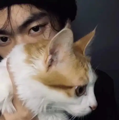 2023最新拥抱宠物暖心男生头像 2023最新拥抱宠物暖心男生头像