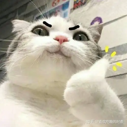  有什么带猫的适合男生用的头像