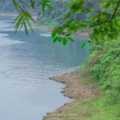 有意境的高清风景系情侣