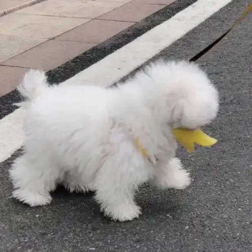  有什么好看又小众的头像