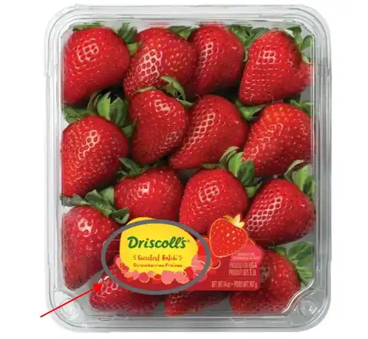  全球浆果巨头ceo爆料美国草莓不甜的真相竟然是这个