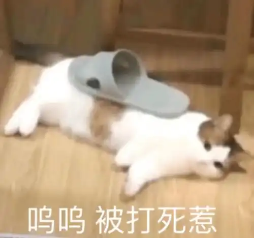 沙雕可爱表情包就是要跟憨宝一起用 沙雕可爱表情包就是要跟憨宝一起用