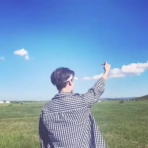 在体制内有所作为 在体制内有所作为