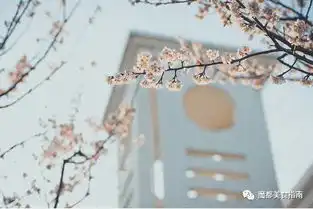  赏樱花要出国上海这8个才是真正赏樱好去处