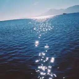 有意境的高清风景系情侣