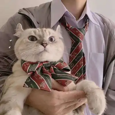  猫咪情侣头像一对两张猫系列情侣头像一左一右