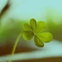 绿色系闺蜜头像一对颜色
