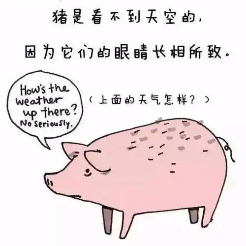 30个你不知道的动物冷知识,不看不知道,世界真奇妙