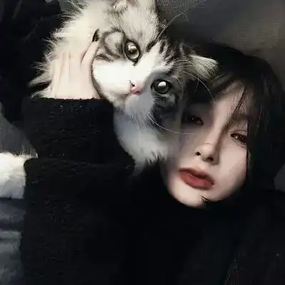  撸猫头像