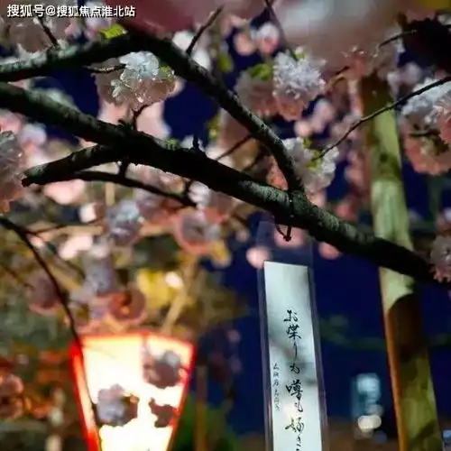  101全季酒店公寓真的有这么好全季酒店楼盘详情,全季酒店千万不要被忽悠了