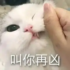  男生们长点心吧,也许你们女友也是显微镜系女孩呢