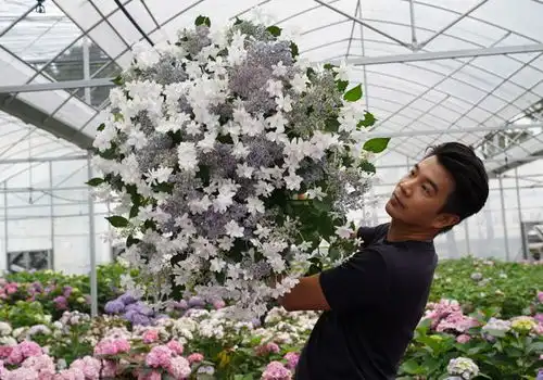 入春首日,姐姐们的梦中情人,园艺圈头部网红种花王大爷教你如何让阳台变花园 入春首日,姐姐们的梦中情人,园艺圈头部网红种花王大爷教你如何让阳台变花园