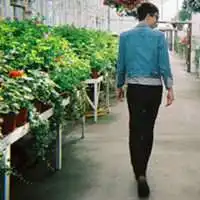 绿色背景头像情侣微信头像图片大全 绿色背景头像情侣微信头像图片大全