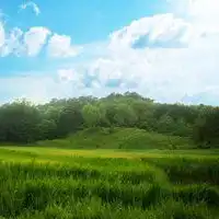 绿色意境唯美图片头像绿色系护眼系列 绿色意境唯美图片头像绿色系护眼系列