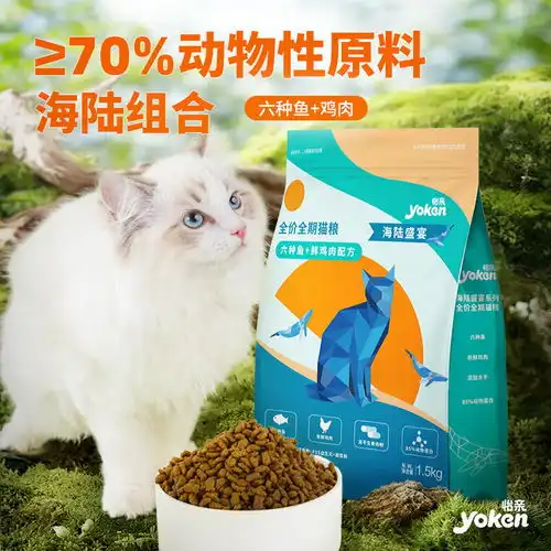 猫系女友的头像可爱猫粮