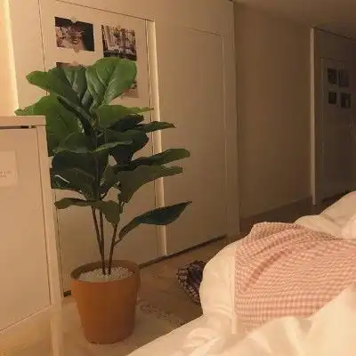  似春风般温柔的治愈系文案
