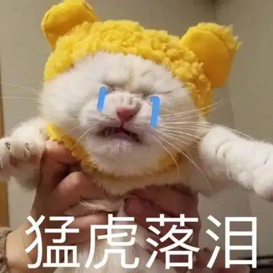  史上最惨,女孩看了会晕厥的大型养猫灾难片