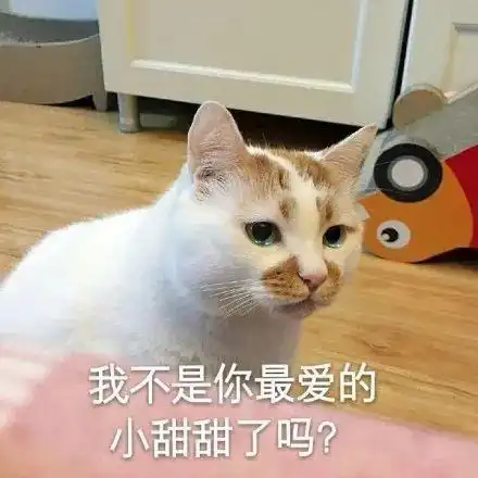  我弄断了女友40支口红,该怎么嫁祸给猫