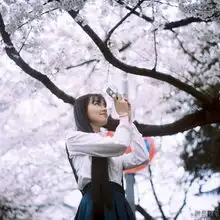  武大校花黄灿灿樱花写真曝光