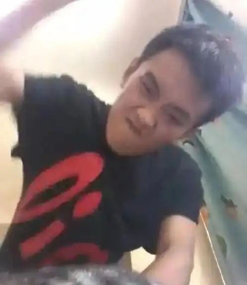  分手后,前男友闯入我家,摔死了我的七只猫