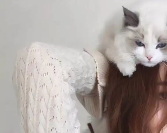 猫系女友的头像可爱养狗