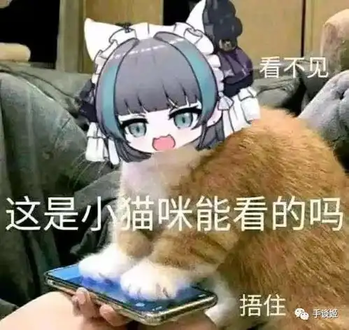 碧蓝航线猫猫头像